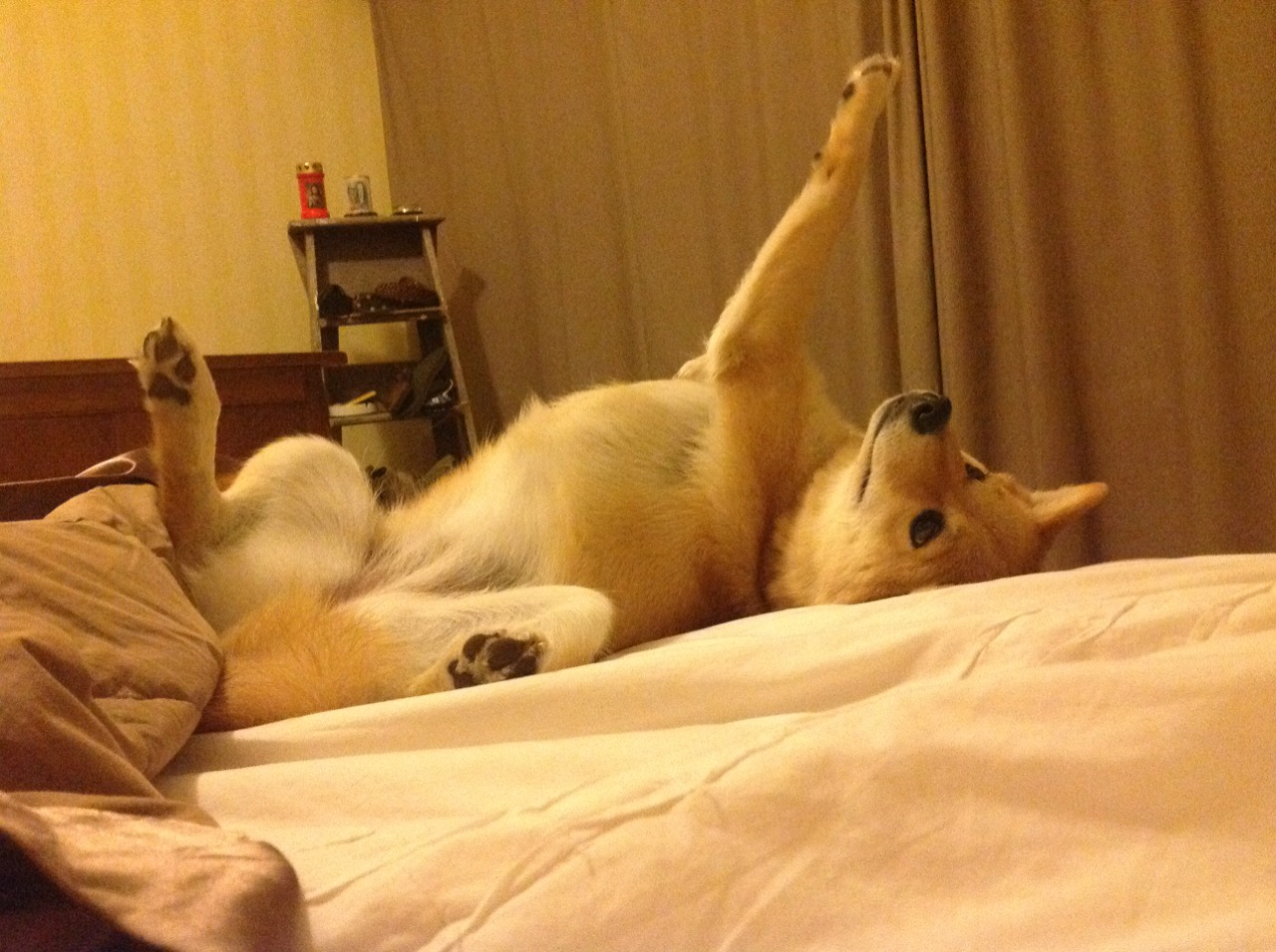 爆冷，体育世界里唯一的确定性