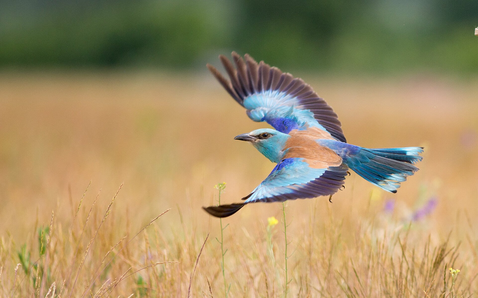 在绝望中新生，在重压下永恒