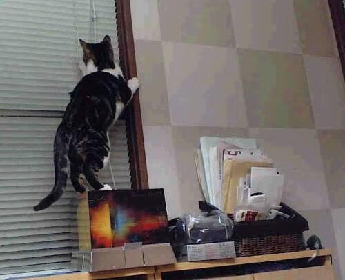 压哨神迹！勒沃库森绝境逆转，阿劳霍用第200场里程碑铭刻传奇