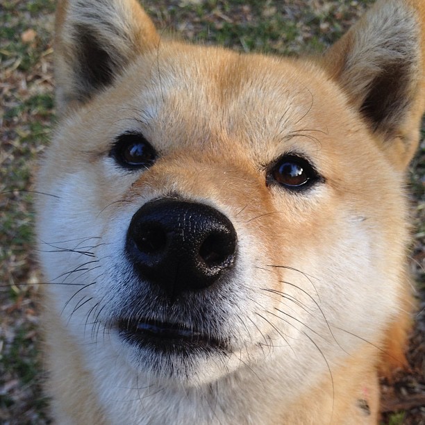 开云体育入口-如果维尼修斯身披红衫，一场关于防守、意志与胜利的平行幻想