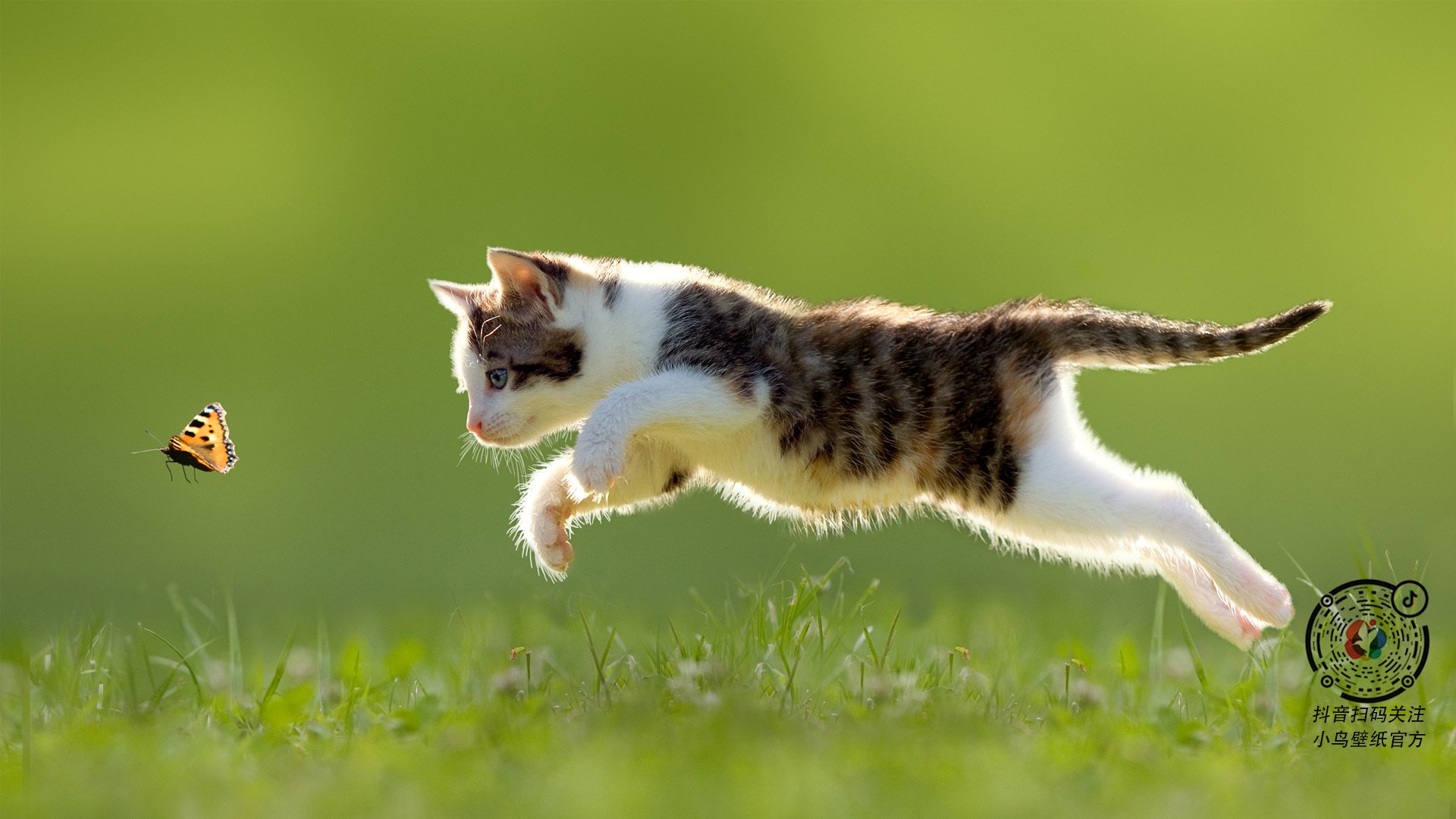 开云体育APP下载-平行宇宙的G7，布伦森52分难救主，深圳男篮加时险胜独行侠