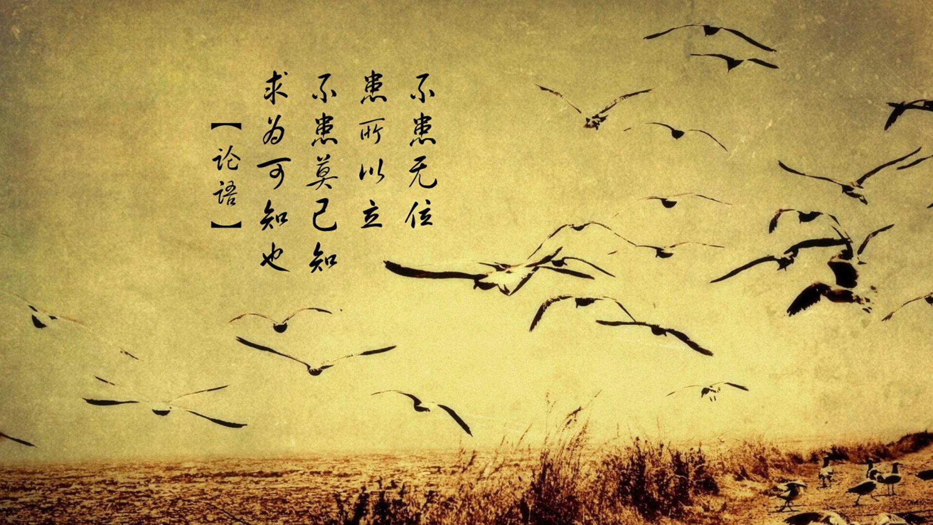 开云体育在线-三杀之刃，英格拉姆一剑封喉，上海强行终结深圳征途