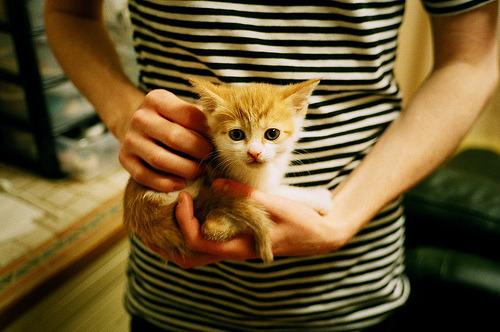 烧胎的叹息与进球的咆哮，当两个战场同时抵达命运十字