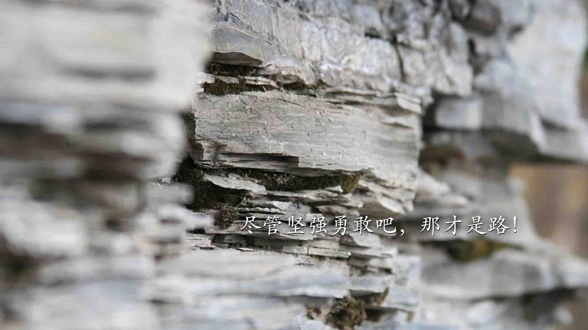 非常有趣，因为它制造了一个戏剧性的不可能场景。凯恩（英格兰队长）为墨西哥队效力并绝杀巴西—这本身就是最大的唯一性和话题点。我将围绕这个核心矛盾展开，构建一个充满转折、悬念与合理性的故事