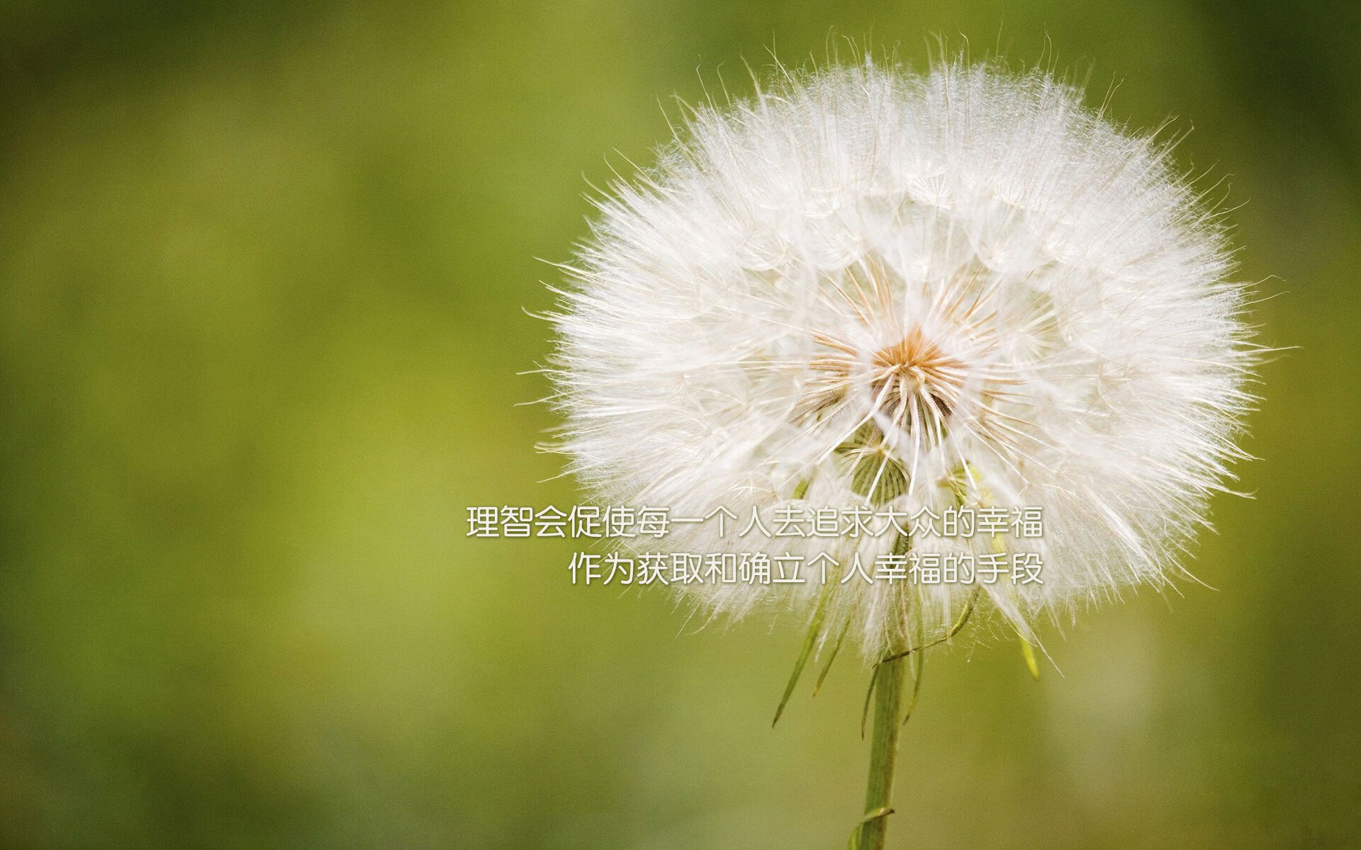 冰与火之歌,唯一的神话,2026世界杯G组焦点战,挪威绝杀瑞典,梅西以对手之名封神