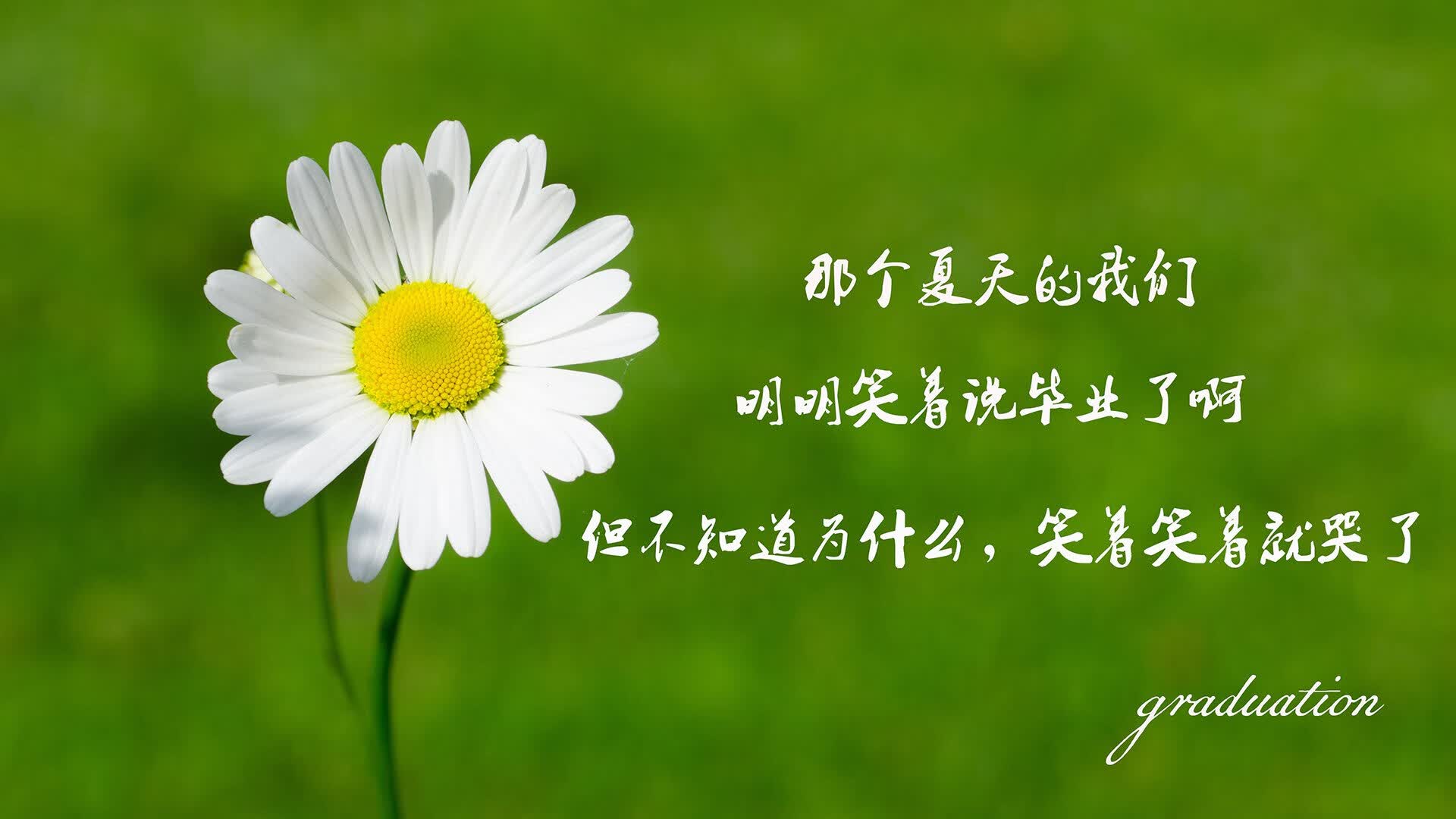 开云体育登录-当宿命被撕成两半，2026世界杯出线战，瑞士用一场反压制神话改写天意